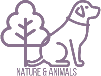 Nature & Animals
